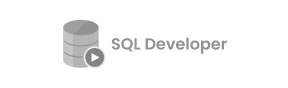  SoapUI logo