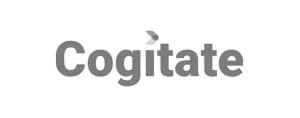 Client 13 - BugRaptors client logo showcasing our software testing partnership