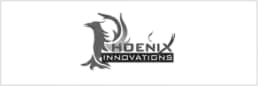Hoenix logo