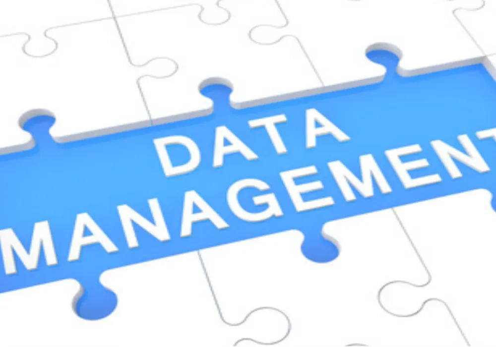 Test Data Management: Need For Business Success