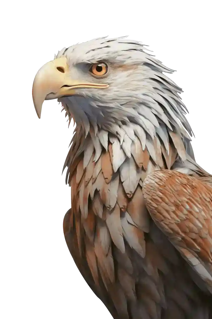 eagle-main