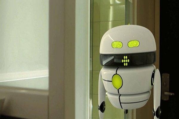 BOTS:  The New Perimeter and How to Perform Testing on it?