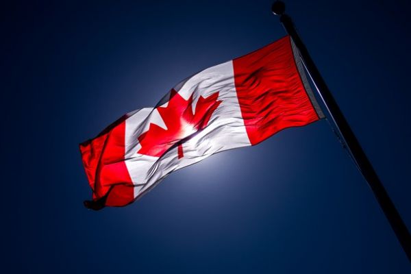 BugRaptors Expands Its Presence in Canada With a New Office