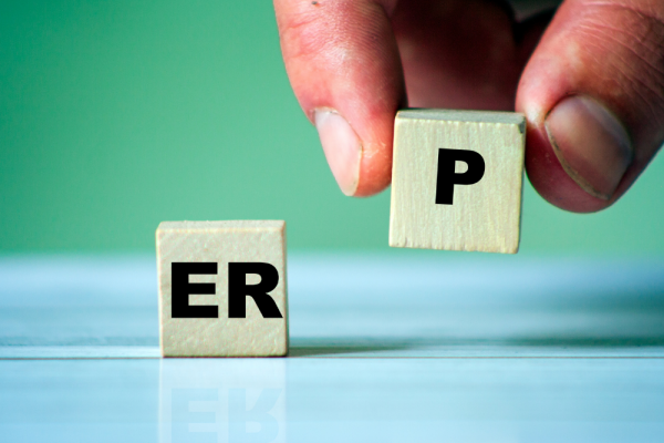 Role Of Test Accelerators In ERP Operations For Large-Scale Organizations