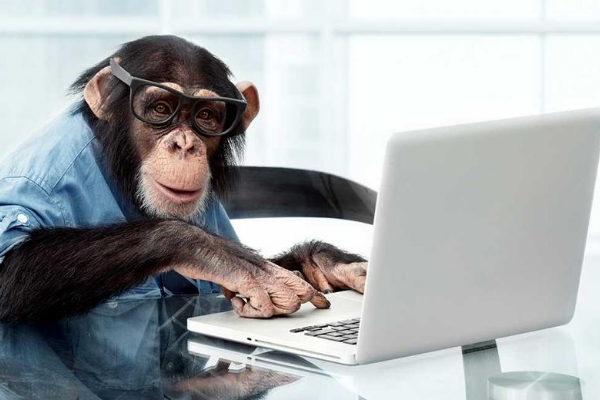 Monkey Testing: A Unique Style Testing Which Boosts The Power Of Manual Testing