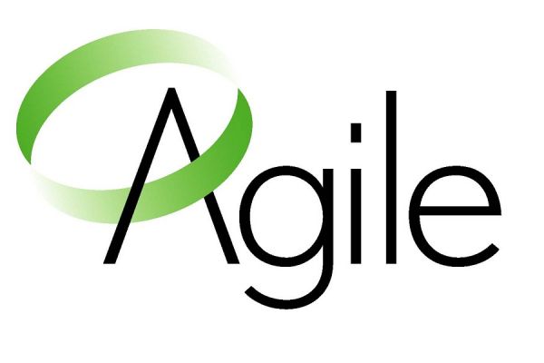 Why Is It Beneficial To Adopt ‘Agile Software Delivery’ Approach